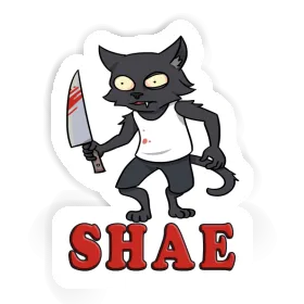 Sticker Shae Psycho Cat Image