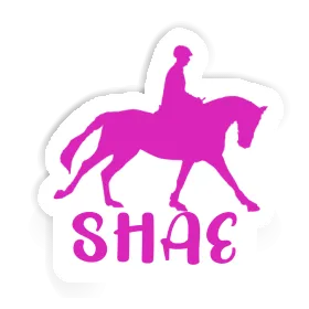 Sticker Horse Rider Shae Image