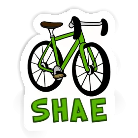 Aufkleber Rennfahrrad Shae Image