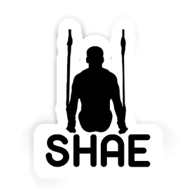 Shae Sticker Ring gymnast Image