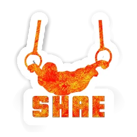 Sticker Shae Ring gymnast Image