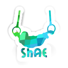 Shae Sticker Ring gymnast Image