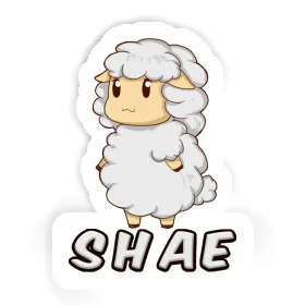 Sticker Sheep Shae Image