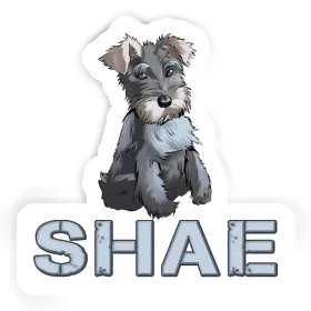 Schnauzer Aufkleber Shae Image