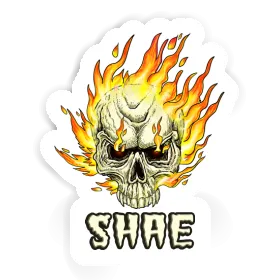 Sticker Shae Totenkopf Image