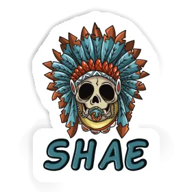 Sticker Shae Baby-Skull Image