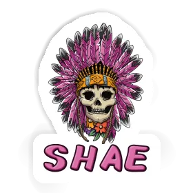 Sticker Ladys Skull Shae Image