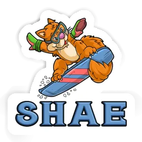 Sticker Snowboarder Shae Image