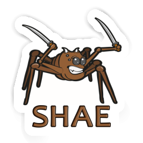 Sticker Shae Fighting Spider Image