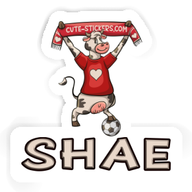 Sticker Cow Shae Image