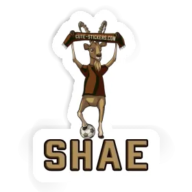 Shae Sticker Capricorn Image