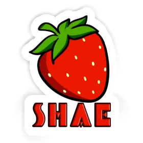 Autocollant Fraise Shae Image