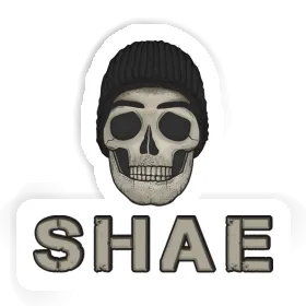 Aufkleber Totenkopf Shae Image