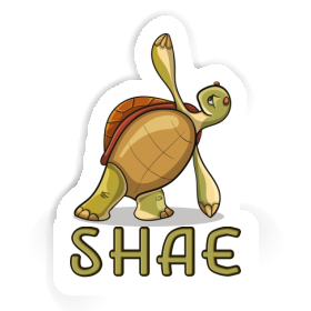 Sticker Shae Yoga Turtle Image