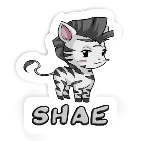 Zebra Sticker Shae Image