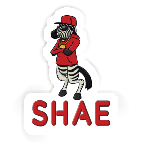 Zebra Sticker Shae Image