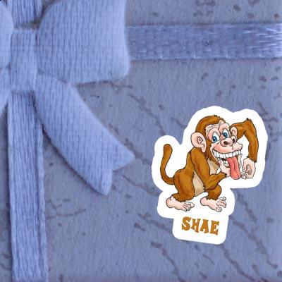 Shae Sticker Ape Gift package Image