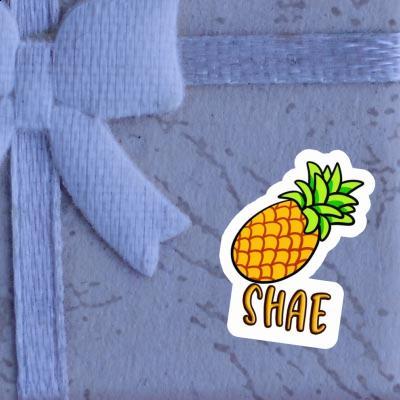 Sticker Shae Pineapple Notebook Image