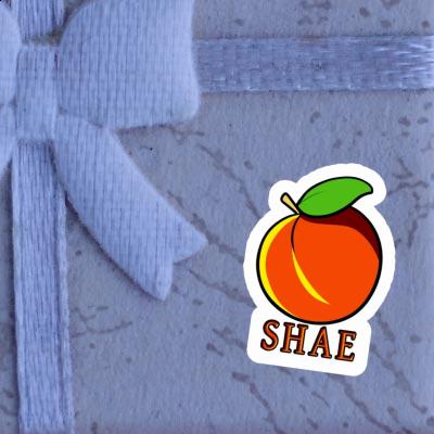 Sticker Shae Apricot Gift package Image