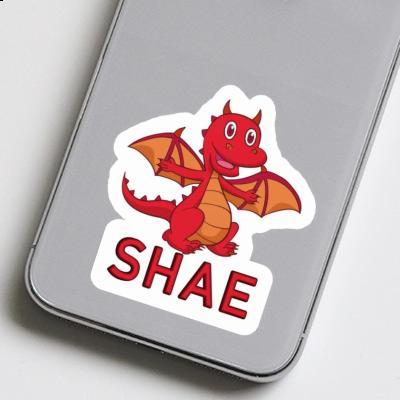 Shae Sticker Baby Dragon Gift package Image