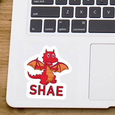 Autocollant Shae Bébé dragon Laptop Image