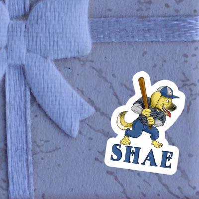 Baseball-Hund Sticker Shae Image