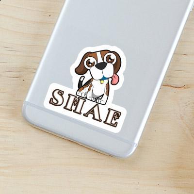 Beagle Autocollant Shae Notebook Image