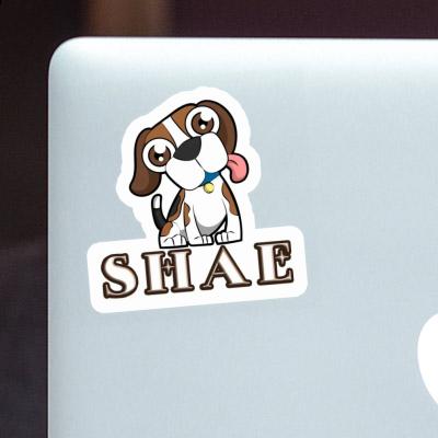 Beagle Autocollant Shae Laptop Image