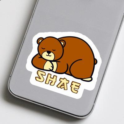 Shae Sticker Bear Laptop Image