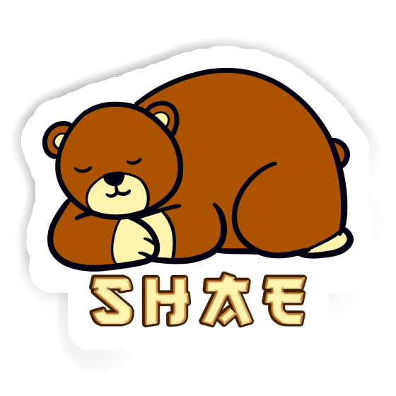 Shae Sticker Bear Gift package Image