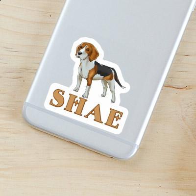 Sticker Shae Beagle Dog Image