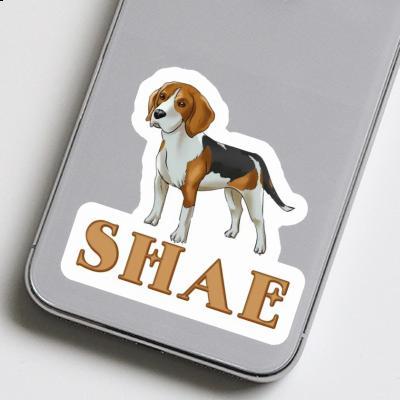 Beagle Hund Sticker Shae Gift package Image