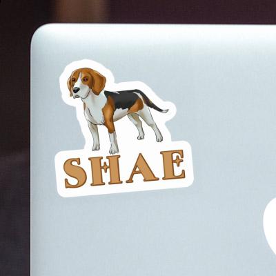 Beagle Hund Sticker Shae Notebook Image