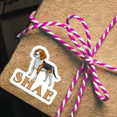 Sticker Shae Beagle Dog Notebook Image