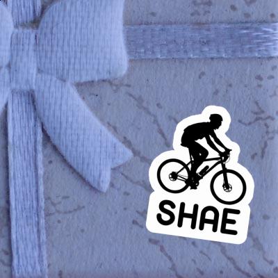 Shae Sticker Biker Laptop Image