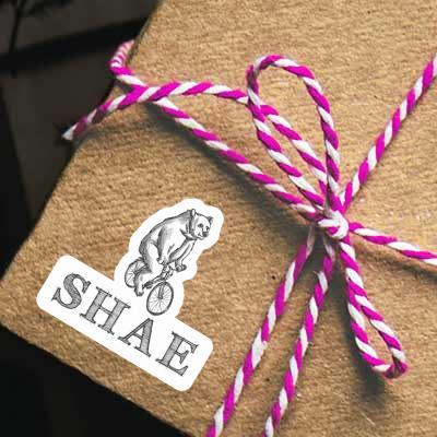 Shae Sticker Bear Gift package Image