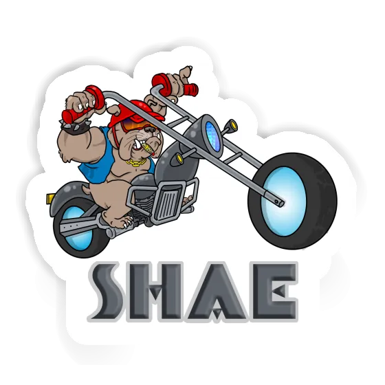 Biker Sticker Shae Gift package Image