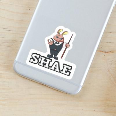 Shae Sticker Rabbit Laptop Image