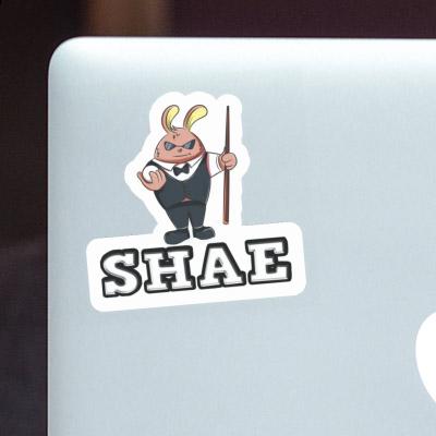 Shae Sticker Rabbit Laptop Image