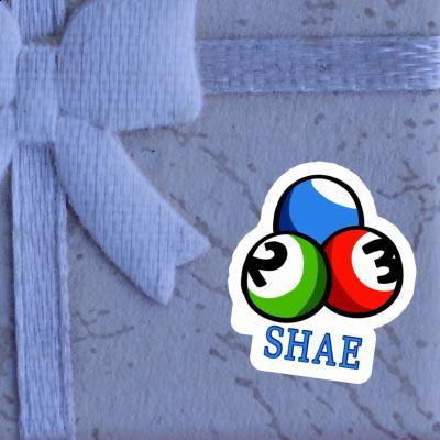 Sticker Shae Billiard Ball Gift package Image