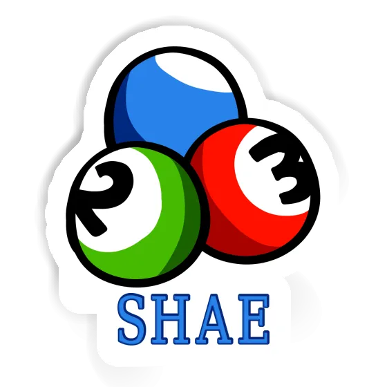 Sticker Shae Billiard Ball Notebook Image