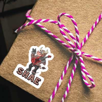 Sticker Shae Rocking Bull Gift package Image