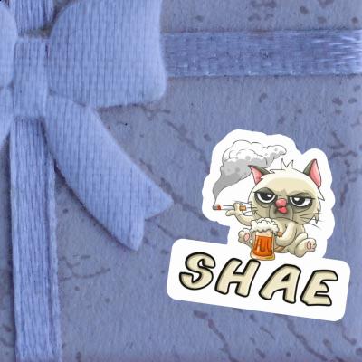 Shae Sticker Bad Cat Gift package Image