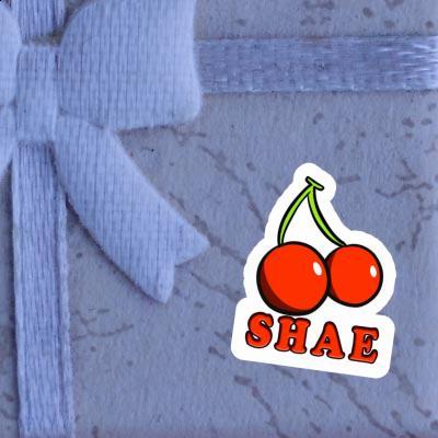 Sticker Cherry Shae Laptop Image