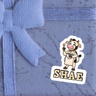 Shae Sticker Cook Laptop Image