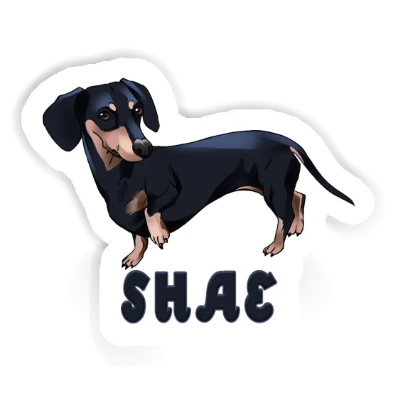 Sticker Shae Dachshund Image