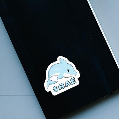 Dolphin Sticker Shae Notebook Image