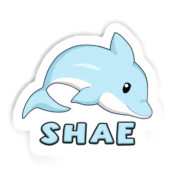 Dolphin Sticker Shae Gift package Image