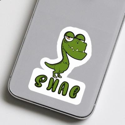 Shae Sticker Dino Gift package Image