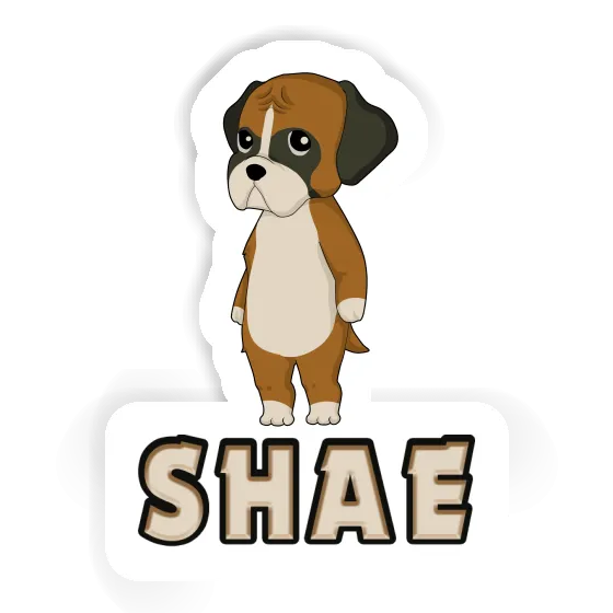 Autocollant Shae Boxer Gift package Image